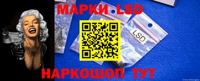 гидропоника Пенза