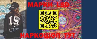 гидропоника Пенза