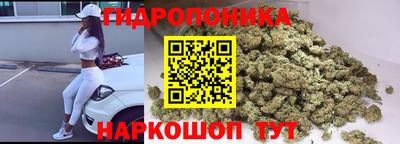 гидропоника Пенза