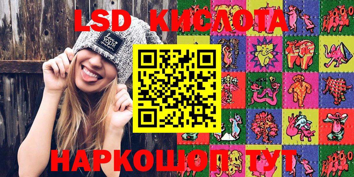 Псилоцибиновые грибы Советск