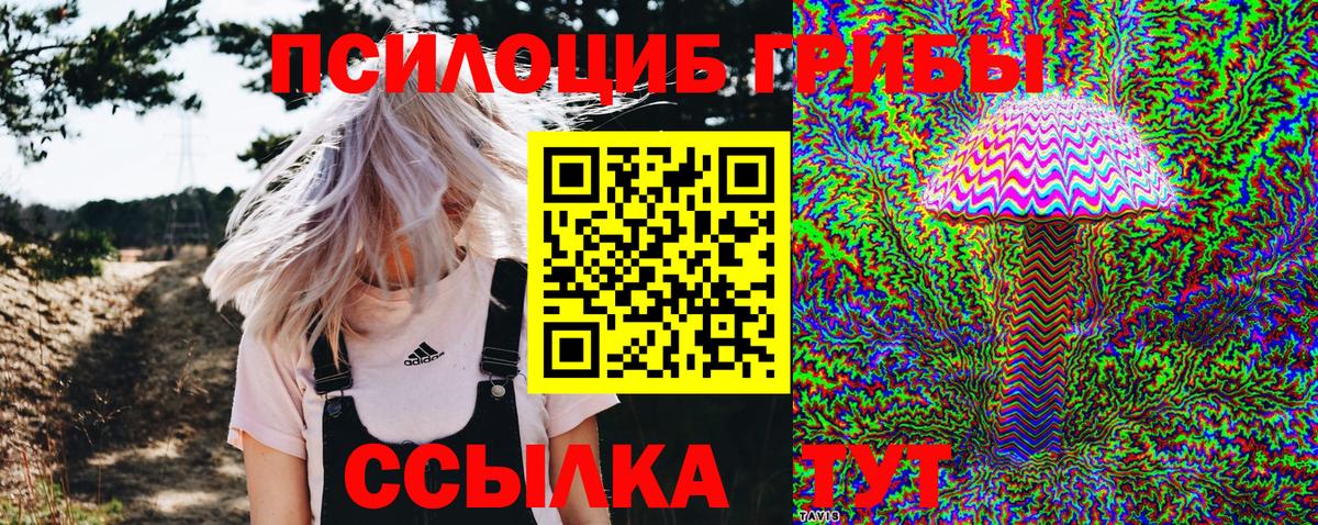 дарнет шоп  Псилоцибиновые грибы MAGIC MUSHROOMS  Советск  Вход с VPN  Псилоцибиновые грибы Magic Shrooms 